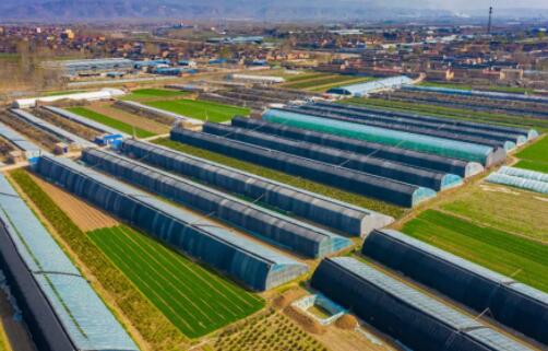山西万亩旱地小麦推广软体集雨水窖水肥一体化，节水增产增效